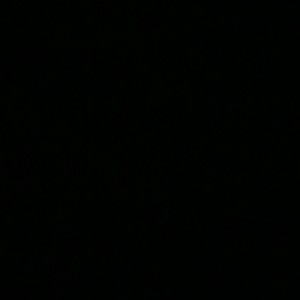 Meet your Posher, Dache